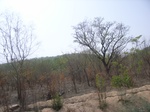 4016RIMG0320.JPG