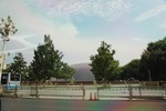 2024-08-05_16-31-21_5AE5B927-DE2D-4B4E-BDCD-D82F8F56ADCF.jpeg