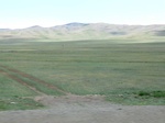 38336CIMG0178.JPG