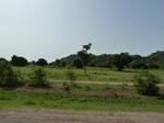18930P1000774.JPG