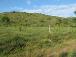31958IMG_5637.JPG