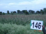 125380146c-irrigated-supplemental-groundwater-plantation-banana-dominant-sapota-millet.gif