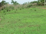 51961CIMG0703.JPG