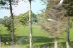 2024-08-05_14-31-42_2FA6CA01-DA98-4532-97A1-8FB2AC3D0D27.jpeg