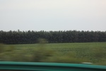 2024-08-05_16-09-01_12AF9163-283B-443E-8B6B-B5184544D59C.jpeg