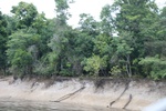 2024-10-10_17-07-46_538662C3-2962-47F3-BA0A-DBFFE3BCD167.jpeg