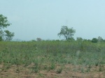 51525P1000688.JPG
