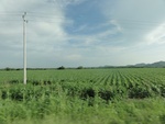 24886DSC01103.JPG