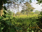 29977IMG_5377.JPG