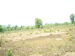 17437100_2125.JPG