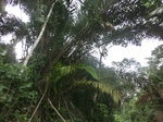 48143CIMG4480.JPG
