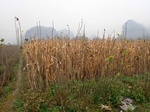 2024-11-29_05-41-54_PC200059.JPG