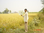 6555gt056-cropland-2.jpg
