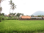 14794IMG_5187.JPG