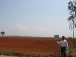 9275gt026a-cropland-rainfed-mixed-crops-red-soils.gif