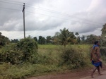 55821CIMG6455.JPG