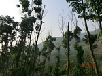 53512CIMG6852.JPG