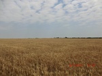 29395CIMG0629.JPG