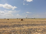 35678DSC02181.JPG