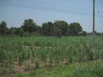 34532IMG_5515.JPG