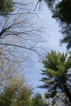 256IMG_4152.JPG