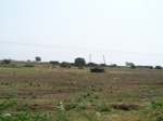 517223042008(20).JPG