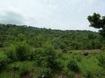 18464P1000300.JPG