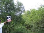 1184069-forest-remnant-degraded-b.jpg