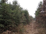 8485IMG_0310.JPG