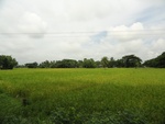 21988DSC00099.JPG