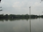 26019DSC00929.JPG