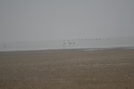 4128IMG_8763.JPG