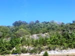56754CIMG1761.JPG