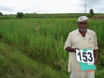 125650153a-irrigated-supplemental-major-river-water-lift-irrigation-sugarcane-dominant-sorghum.gif