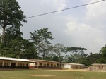 49782CIMG6119.JPG