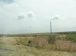 35431DSC02943.JPG