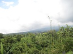 16445IMG_5230.JPG