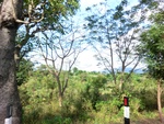 30918CIMG0774.JPG