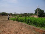51955Tank ID 1800284 Singrihalli 4.JPG
