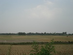 21889DSC08484.JPG