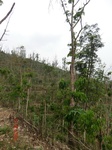 53553CIMG6903.JPG