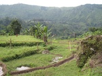 15180IMG_4000.JPG