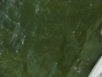 58068CIMG2362.JPG