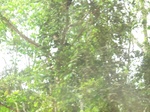 48625CIMG4962.JPG