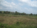 27869IMG_4872.JPG