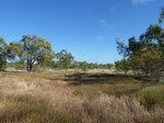 42478P1000277.jpg