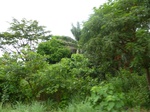 20969P1020836.JPG