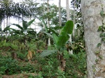 46166CIMG0455.JPG
