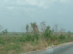 51551P1000722.JPG