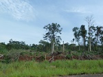 20110P1010961.JPG
